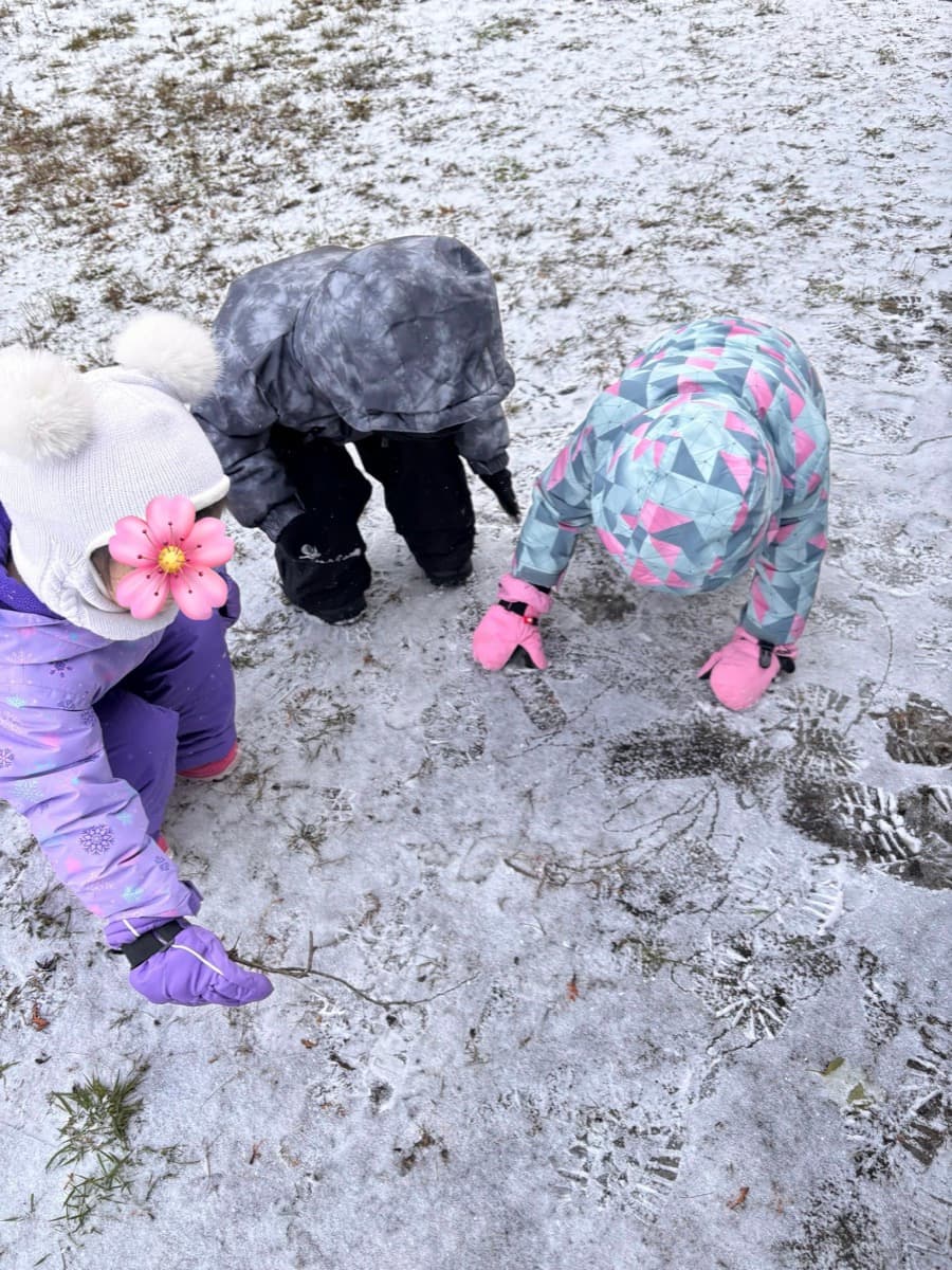Winter exploration